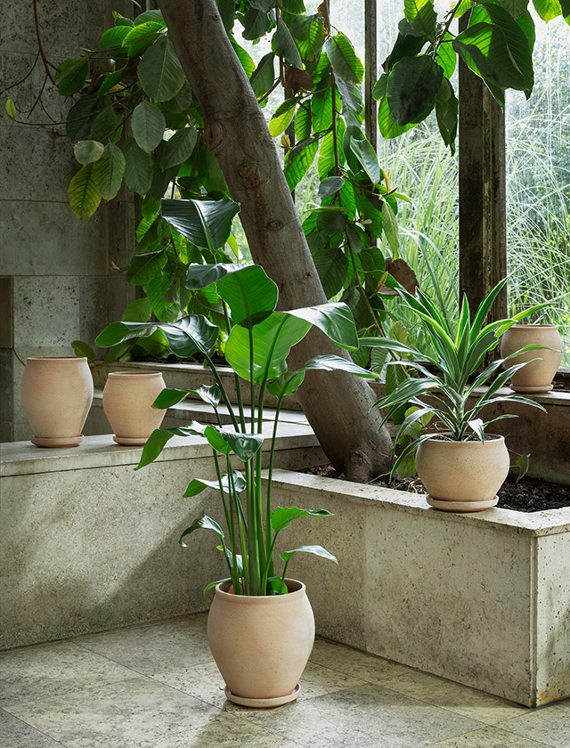 Gefertigt aus naturbelassenem Terrakotta, ist Daisy wahlweise als klassischer Blumentopf oder als wandhängende Ausführung erhältlich. Beide Varianten setzen Pflanzen, Kräuter oder blühende Arrangements auf zurückhaltende Weise in Szene und fügen sich gleichermaßen in Wohnräume, Wintergärten oder geschützte Außenbereiche ein.