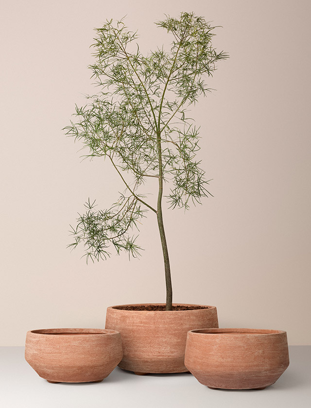 Alle drei Größen der  Pflanzgefäße von Bergs Potter in natürlicher Raw-Terracotta-Optik in Rosa Terracotta.