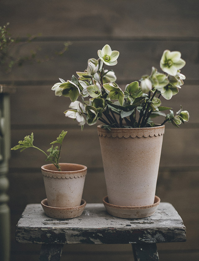Gefertigt aus Terrakotta, bringen die Gefäße mediterranen Charakter in Haus und Garten. Ihre ausgewogenen Proportionen und die ruhige Silhouette setzen Pflanzen zurückhaltend in Szene und lassen sich ebenso selbstverständlich in klassische wie in moderne Umgebungen einfügen.