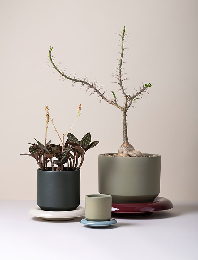 Als Originalentwurf von Bergs Potter wird der Emilia-Blumentopf in der Toskana gefertigt. Er steht für die Verbindung von zeitloser Gestaltung, überlieferten Techniken und der Wertschätzung handwerklicher Fertigung.
