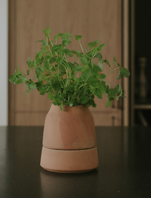 Bergs Potter Viva Blumentopf aus rosafarbener Terrakotta, bepflanzt mit frischen grünen Kräutern, Größe 12 cm.