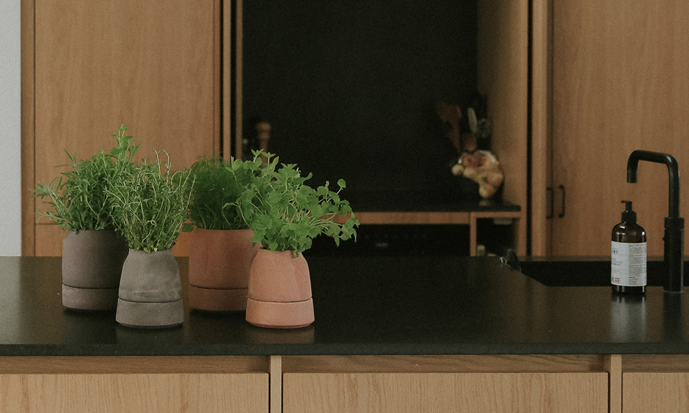 Die Bergs Potter Viva Kräutertöpfe bringen frisches Grün direkt in die Küche. Die selbstbewässernden Pflanztöpfe aus roher, atmungsaktiver Terracotta sind in Rosa und Grau erhältlich und besitzen eine unauffällig integrierte Wasserreserve im Untersetzer. Über einen Docht werden Kräuter wie Basilikum, Petersilie oder andere Küchenkräuter gleichmäßig von unten mit Wasser versorgt. So bleiben die Blätter trocken, die Wurzeln kräftig und die Kräuter länger frisch.