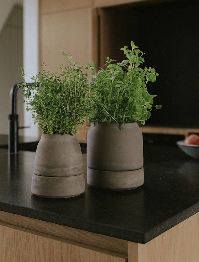 Zwei Bergs Potter Viva Kräutertöpfe aus grauer Terrakotta in 12 und 14 cm, bepflanzt mit Thymian, Rosmarin und weiteren frischen Küchenkräutern auf einer Küchenarbeitsplatte.