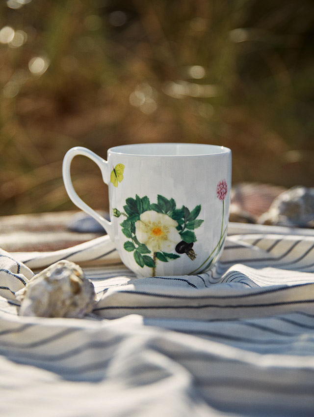Blühende Küstenpflanzen, Muscheln und kleine Strandtiere – in sanften, gedeckten Farben auf weißem Porzellan. Die Serie Hammershøi Summer 2026 von Kähler bringt die stille Poesie eines Spaziergangs an der dänischen Küste auf den Tisch. Die feinen Aquarellmotive der Künstlerin Rikke Jacobsen scheinen dabei über die charakteristischen Rillen des von Hans-Christian Bauer entworfenen Geschirrs zu wachsen. Ein Teller für das sommerliche Frühstück, das kalte Buffet oder den Kaffee im Freien – und eine stimmige Ergänzung zu den übrigen Stücken der Serie.