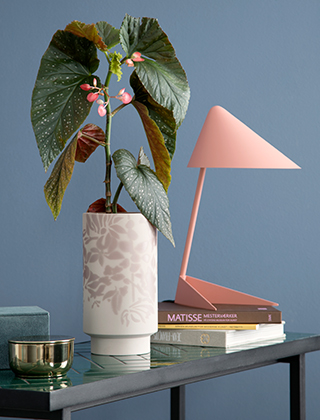 Kabell Vase in Staubrosa - Dusty Rose in der großen Größe von Kähler Design zusammen mit einer wundervollen skandinavischen apricotfarbenen Tischlampe. Die Kabell Vasen-Serie können Sie ebenfalls als Blumentopf verwendet. Die Vase fasst eine Forellenbegonie und steht auf einem Tisch mit dunkler Fliesenoptik.