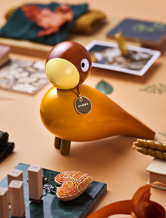Story Bird „Hygge/Cosy“ in Orange mit braunem Kopf und gelbem Schnabel, glänzende Designfigur mit „HYGGE“-Token, fotografiert zwischen Büchern und kleinen Accessoires.