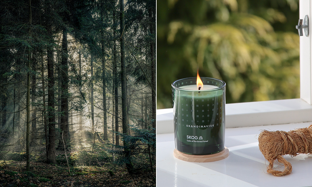 Skandinavisk SKOG Duftkerze am Fenster neben einem skandinavischen Wald – grüner Raumduft inspiriert von Kiefernnadeln, Tannenzapfen und nordischer Natur.