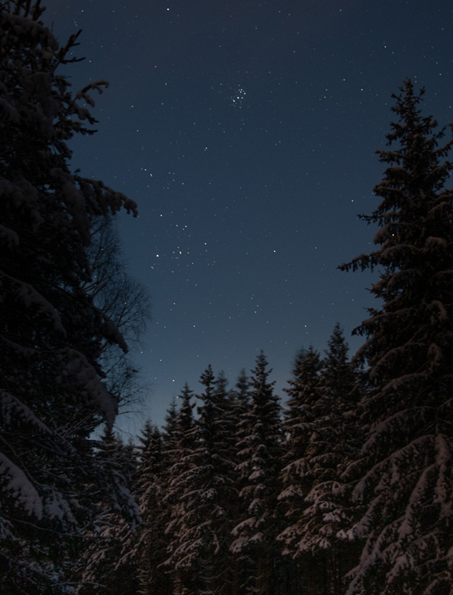 Skandinavisk STJÄRNA Duftkerze mit klarem, frisch-warmem Duft nach weißer Birke, Veilchenblättern, Mandarine und Patchouli, inspiriert von einer stillen skandinavischen Nacht unter dem Sternenhimmel.