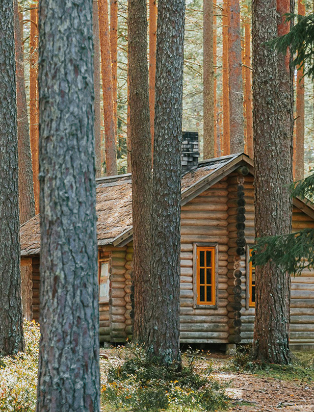 Skandinavisk STUGA Duftkerzen und Raumduft mit warmem, holzig-erdigem Duft nach Birkenrinde, Waldmoos, Muskatnuss und Weihrauch, inspiriert von einer skandinavischen Waldhütte.