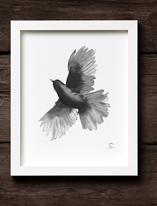Teemu Järvi Illustrations Kunstdrucke & Poster mit wundervollen Motiven von Tieren aus den finnischen Wäldern.